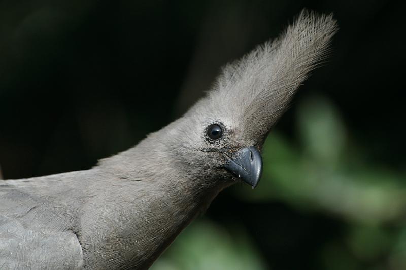 Frieda voels 078.jpg - Luister ook nie na julle ouers nie!..